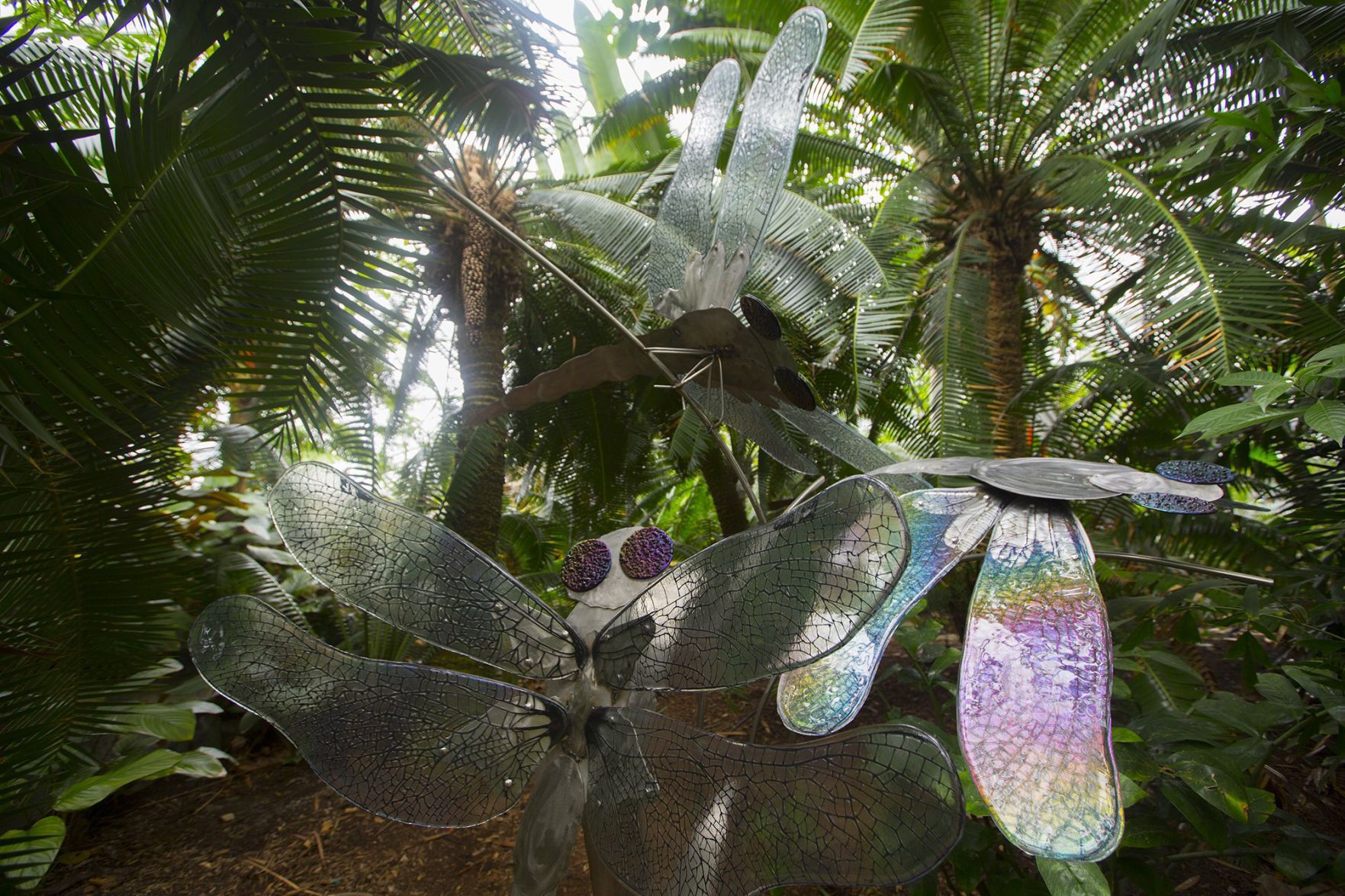 Glass exhibit opens at Missouri Botanical Garden